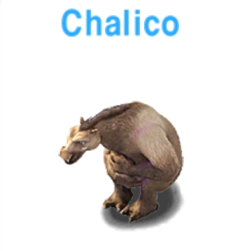 Chalico           